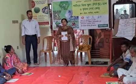 নড়াইলের ফিল্ড স্কুল প্রোগ্রামের প্রশিক্ষন পেয়ে খুশি কৃষক কৃষাণীরা