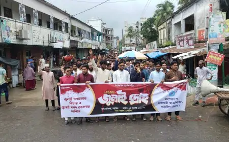 জুলাই দ্রোহ’ উপলক্ষে নড়াইলে ইসলামী ছাত্রশিবিরের বিশাল সমাবেশ