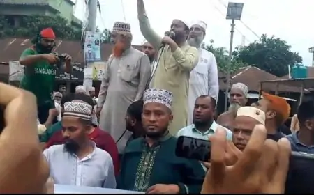 ৫ আগস্ট উপলক্ষে লোহাগড়ায় জামায়াতের বিশাল সমাবেশ ও মিছিল