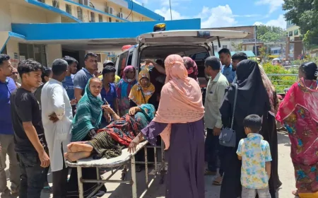 নড়াইলে আধিপত্য বিস্তারকে কেন্দ্র করে সংঘর্ষে নারীসহ আহত অন্তত ৩০