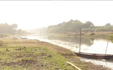 নড়াইলে নদীতে ভাসমান অজ্ঞাত পরিচয় নারীর মরদেহ উদ্ধার