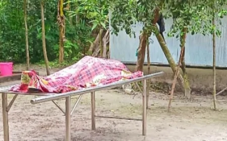 নড়াইলে সাপের কামড়ে ইজিবাইক চালকের মৃত্যু