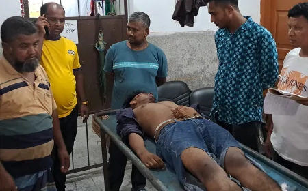 নড়াইলে ত্রিমুখী সংঘর্ষ কেড়ে নিলো এক স্কুলছাত্রের প্রাণ , আহত ৬