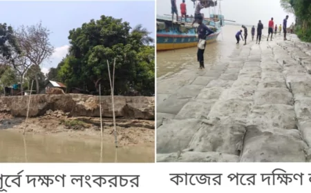 নড়াইলে নদী ভাঙ্গন রোধের কাজে খুশি হলেও আরো বরাদ্দের দাবি এলাকাবাসীর