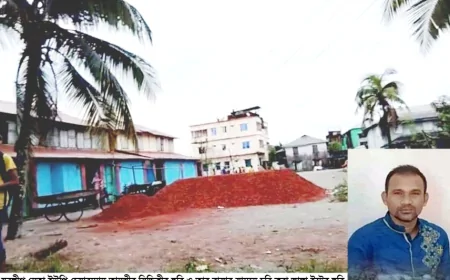 যুবলীগ নেতা ও সাবেক ইউপি চেয়ারম্যানের বিরুদ্ধে ইট চুরির অভিযোগ