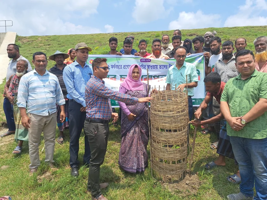 সৌন্দর্য ও পরিবেশ রক্ষায় নড়াইলে বৃক্ষরোপণ কর্মসূচি
