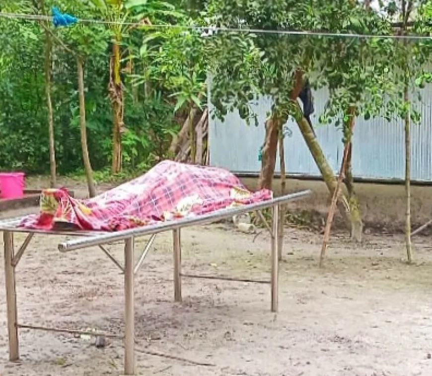 নড়াইলে সাপের কামড়ে ইজিবাইক চালকের মৃত্যু