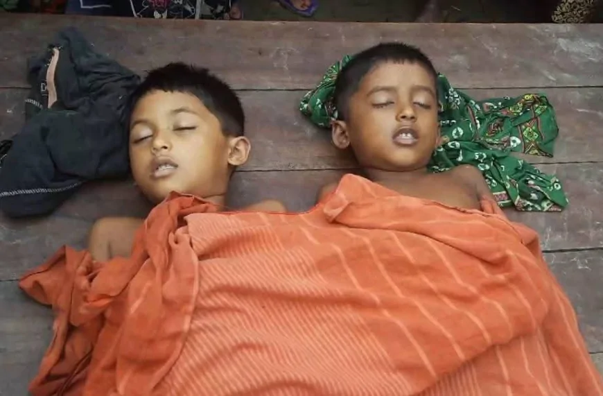 নড়াইলে পানিতে ডুবে ঝরে গেল দুই শিশুর প্রাণ