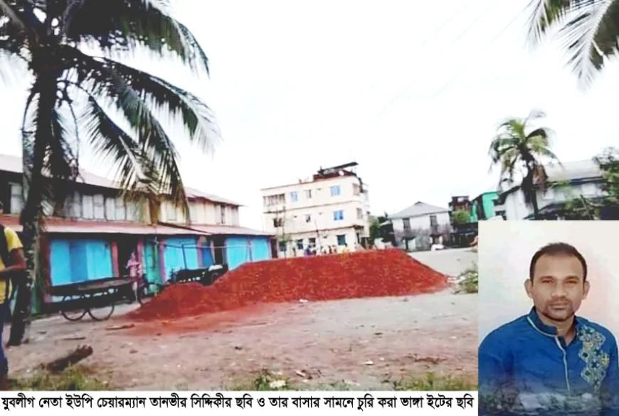 যুবলীগ নেতা ও সাবেক ইউপি চেয়ারম্যানের বিরুদ্ধে ইট চুরির অভিযোগ