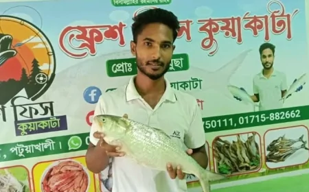 কুয়াকাটা সংলগ্ন আলিপুরে আড়াই কেজির একটি ইলিশ মাছ বিক্রি ৮ হাজার ৭৫০ টাকায়।