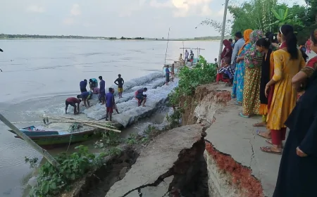 নদীর তীব্র ভাঙ্গন থেকে নড়াইলের চাচই ধানাইড সড়কটি রক্ষায় কাজ করছে কতৃপক্ষ
