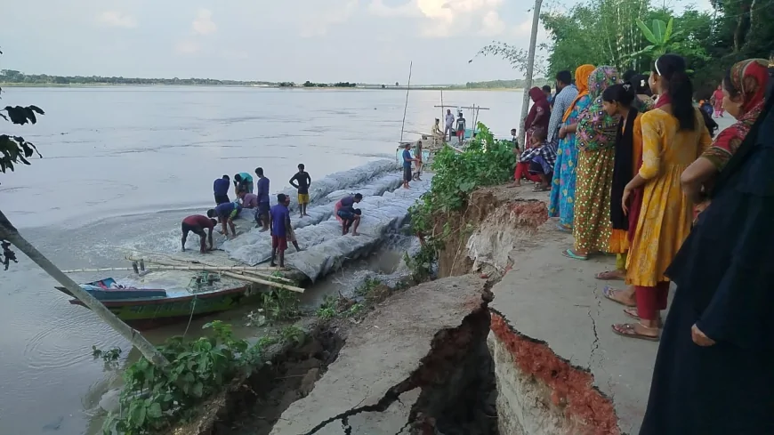 নদীর তীব্র ভাঙ্গন থেকে নড়াইলের চাচই ধানাইড সড়কটি রক্ষায় কাজ করছে কতৃপক্ষ
