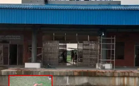 নড়াইল লোহাগড়ায় ট্রেনে কাটা পড়ে প্রথম মৃত্যু