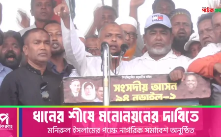 ধানের শীষের মনোনয়নের দাবিতে নাগরিক সমাবেশ