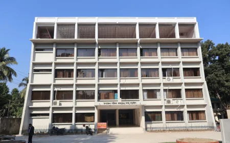 উন্নয়নের ছোঁয়ায় বদলে যাচ্ছে নড়াইল সদর অফিসপাড়ার চিত্র