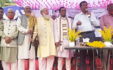 পহরডাঙ্গায় বিএনপি মনোনীত প্রার্থী বিশ্বাস জাহাঙ্গীর আলমের বিশাল নির্বাচনী জনসভা