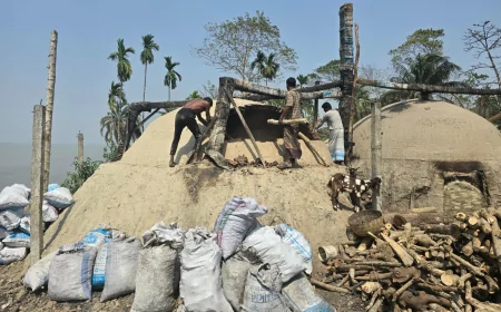 বরগুনায় অবৈধ কাঠ কয়লার কারখানায় ভ্রাম্যমান আদালত, ১ লাখ টাকা জরিমানা