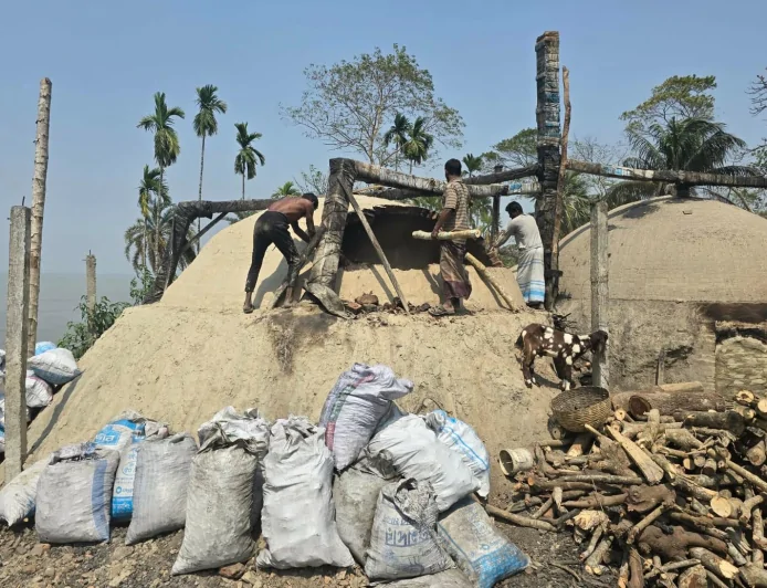 বরগুনায় অবৈধ কাঠ কয়লার কারখানায় ভ্রাম্যমান আদালত, ১ লাখ টাকা জরিমানা