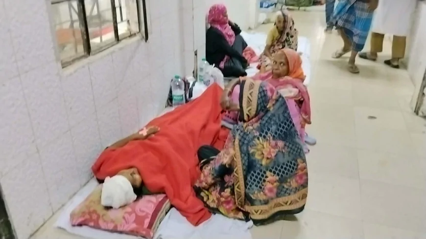 নড়াইলে পূর্ব শত্রুতার জেরে নারীকে পিটিয়ে জখম 