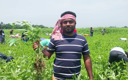 ঈদের আনন্দ ভাগ করে নিতে কৃষকের মাঠে শত মানুষের কর্মযজ্ঞ