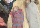 নড়াইলে পুকুরের পানিতে ডুবে আপন ২ ভাইয়ের মর্মান্তিক মৃত্যু