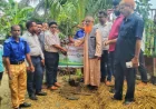 প্রধানমন্ত্রীর ২৫ কোটি বৃক্ষরোপণ কর্মসূচির অংশ হিসেবে নড়াইলে ফলদ ও বনজ বৃক্ষরোপণ