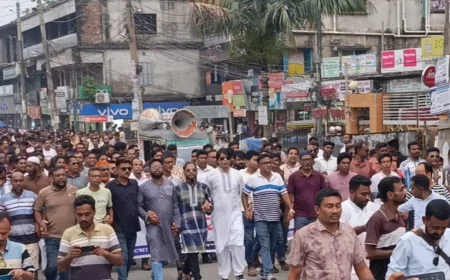 যুবদলের কেন্দ্রীয় কমিটি ঘোষণাকে স্বাগত জানিয়ে নড়াইলে জেলা যুবদলের আনন্দ মিছিল