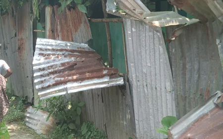 লোহাগড়ায় জমি নিয়ে প্রতিবেশির বাড়িতে হামলা-ভাঙচুর ও চাঁদা দাবির অভিযোগ