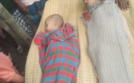 নড়াইলে পুকুরের পানিতে ডুবে আপন ২ ভাইয়ের মর্মান্তিক মৃত্যু