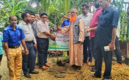 প্রধানমন্ত্রীর ২৫ কোটি বৃক্ষরোপণ কর্মসূচির অংশ হিসেবে নড়াইলে ফলদ ও বনজ বৃক্ষরোপণ