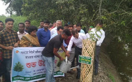 ২৫ কোটি বৃক্ষরোপণ কর্মসূচির অংশ হিসেবে নড়াইলে গাছ লাগানো শুরু