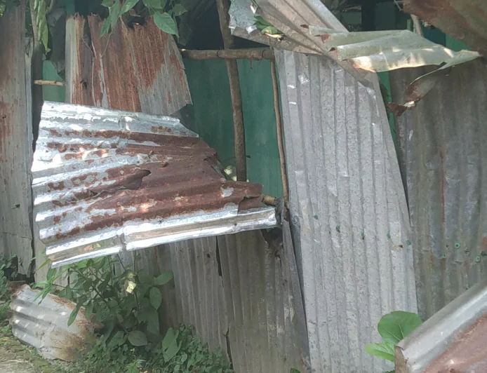 লোহাগড়ায় জমি নিয়ে প্রতিবেশির বাড়িতে হামলা-ভাঙচুর ও চাঁদা দাবির অভিযোগ