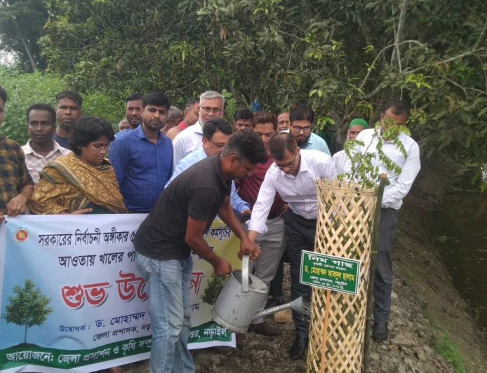 ২৫ কোটি বৃক্ষরোপণ কর্মসূচির অংশ হিসেবে নড়াইলে গাছ লাগানো শুরু