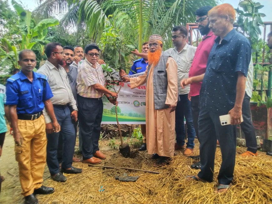 প্রধানমন্ত্রীর ২৫ কোটি বৃক্ষরোপণ কর্মসূচির অংশ হিসেবে নড়াইলে ফলদ ও বনজ বৃক্ষরোপণ