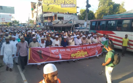জুলাই সনদ ও গণভোটের রায় বাস্তবায়নের দাবিতে নড়াইলে ১১ দলীয় ঐক্যের বিশাল গণমিছিল