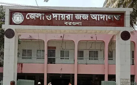 বরগুনায় মিথ্যা ও হয়রানিমূলক মামলা করায় বাদীর ৩ মাসের কারাদণ্ড, ৫০ হাজার টাকা জরিমানা