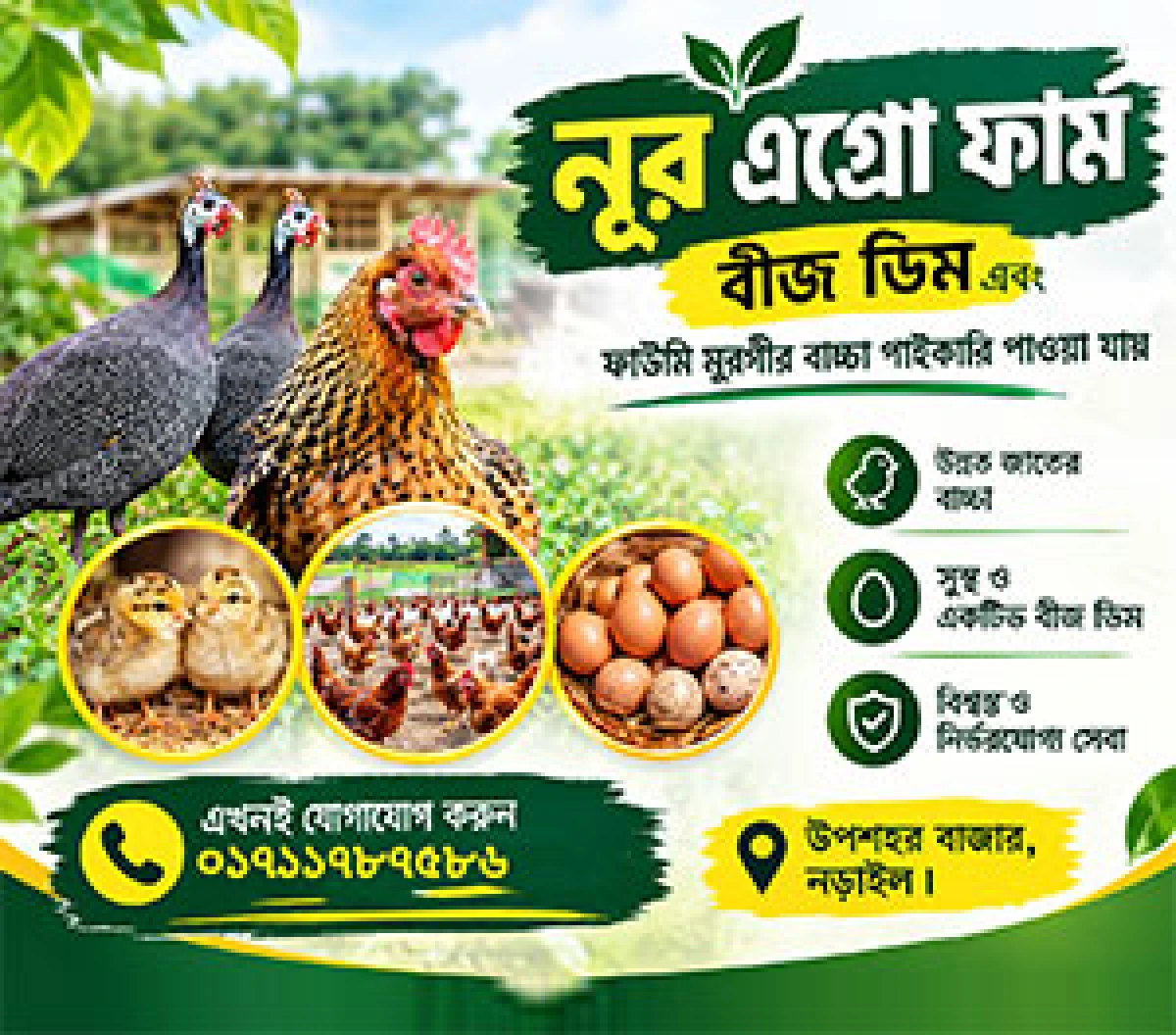 Advertisement