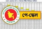 আইন মন্ত্রণালয়ের ভেটিং পর্যায়ে পে-স্কেল, গেজেট প্রকাশ নিয়ে জটিলতা
