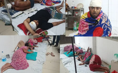 লোহাগড়ায় মাদক বিক্রিতে বাধা দেওয়ায় ২ নারীসহ ৬ জনকে কুপিয়ে আহতের অভিযোগ